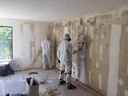 Best Emergency Mold Remediation  in Passaic, NJ